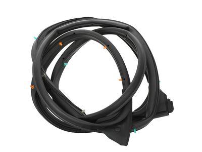 Mazda 3 Door Seal - BHN9-72-760C