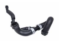 Mazda LF50-15-185E Inlet Hose