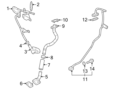 2024 Mazda CX-50 Hoses & Lines - Engine / Transaxle
