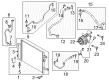 Diagram for Mazda MX-5 Miata A/C Compressor Clutch - N243-61-L10