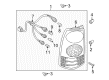 Diagram for Mazda MPV Light Socket - LE43-51-155