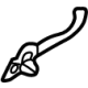 Mazda DN4J-58-762 Run Channel Fastener Mazda DN4J-58-762 Run Channel Fastener